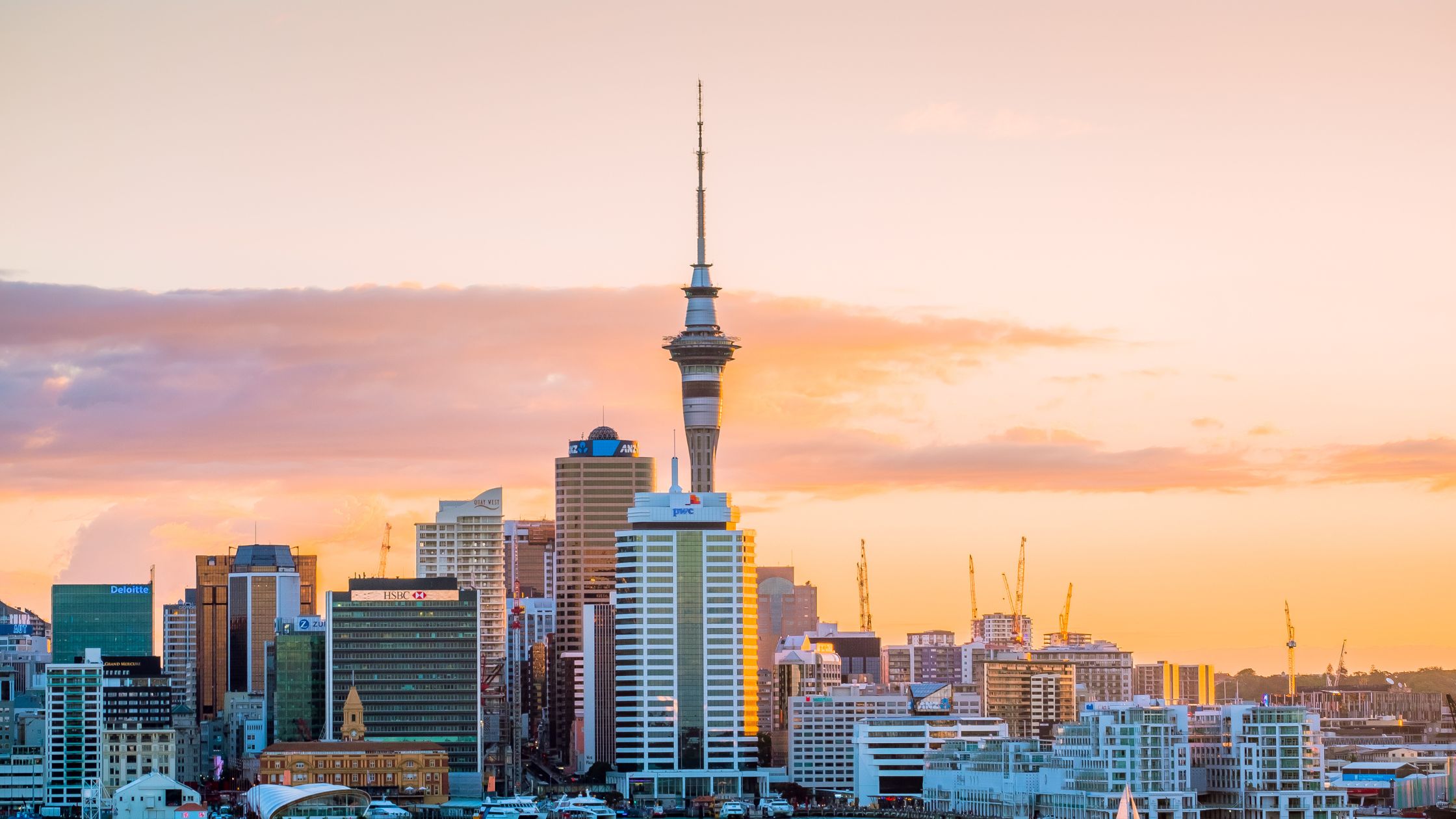 Study In New Zealand